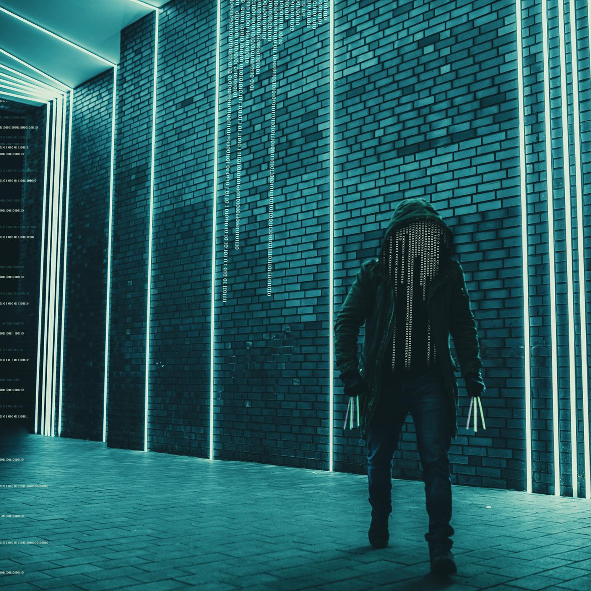 Vulnerability Assessment & Penetration Testing (VAPT)